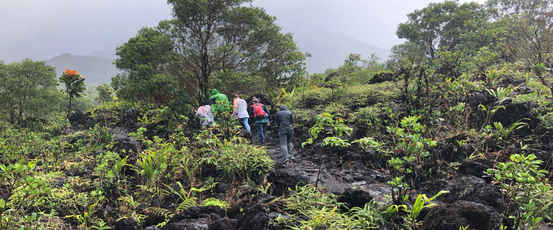 Arenal Volcano National Park and Arenal Reserve Guided Hike | Costa Rica Jade Tours