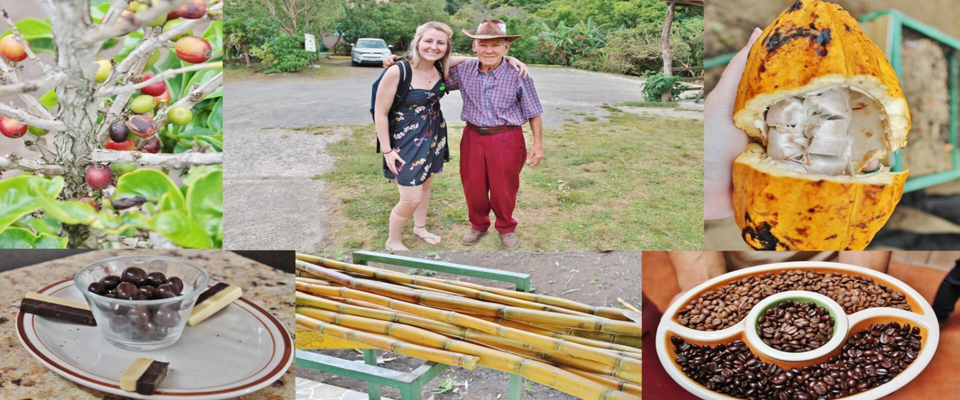 Monteverde Coffee Tour | Costa Rica Jade Tours