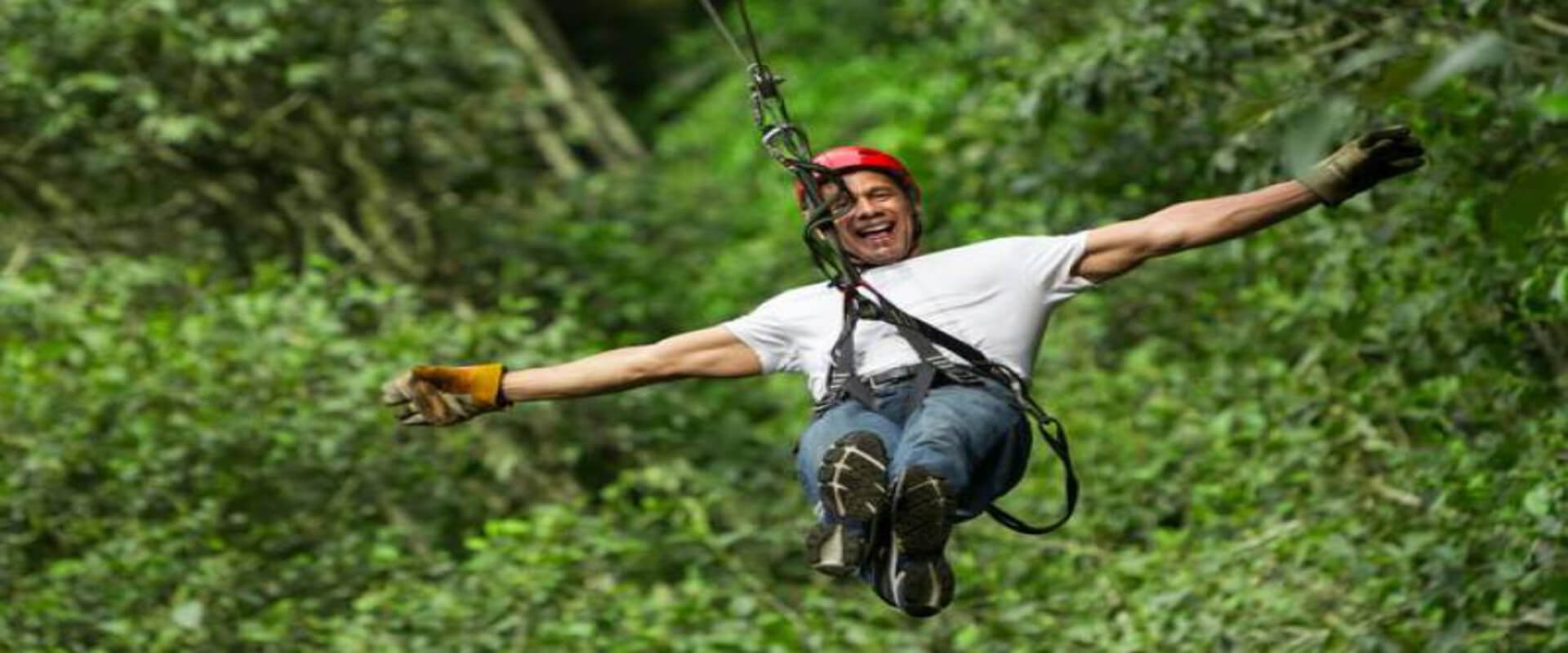 Coffee and Canopy Tour  | Costa Rica Jade Tours