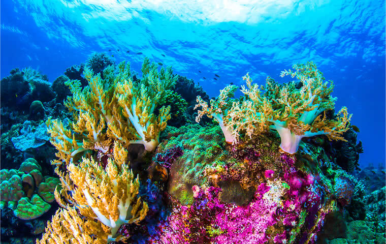 Ecosystems of Costa Rica