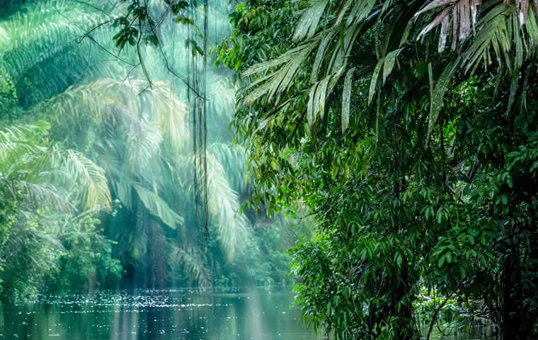 Costa Rica nature