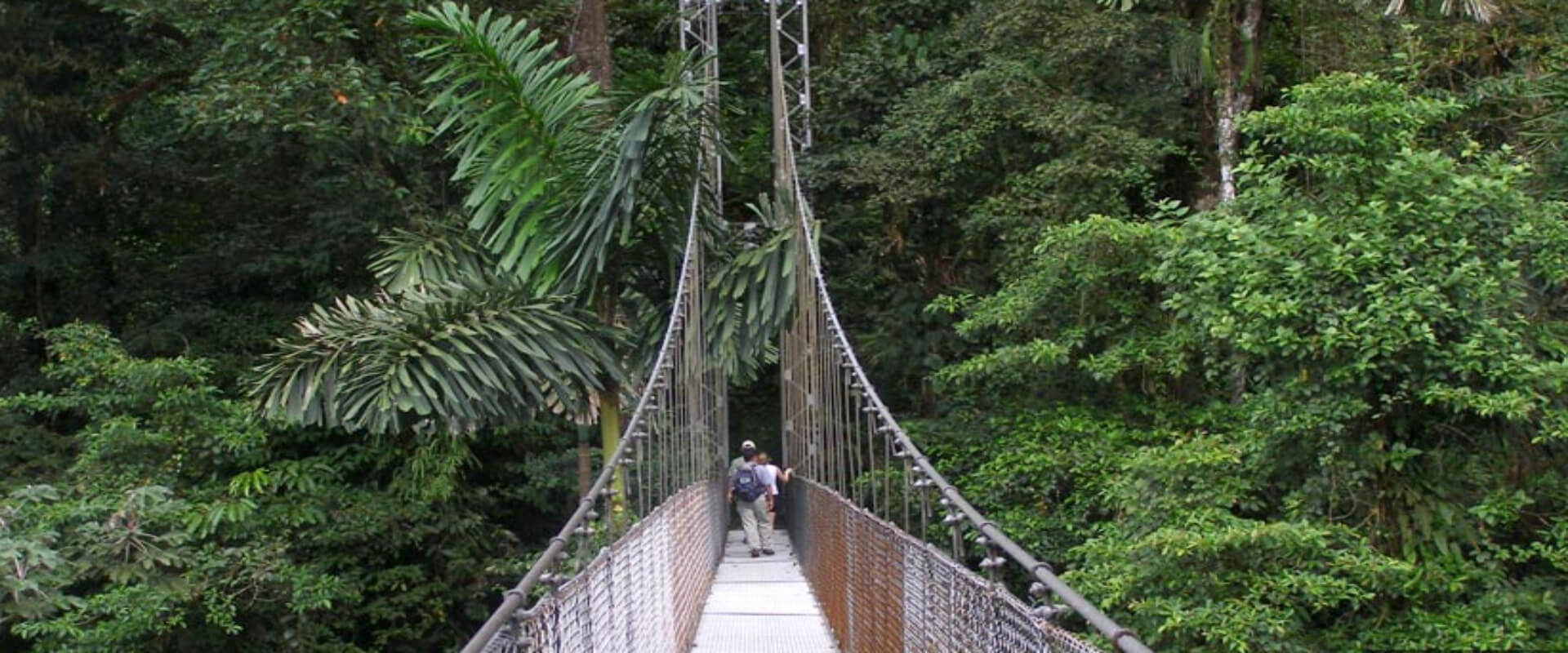 Arenal Hanging Bridges Walking Tour | Costa Rica Jade Tours
