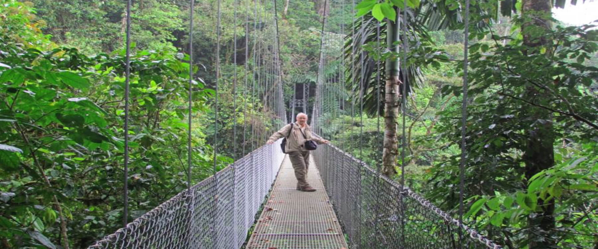 Caminata por los puentes colgantes del Parque Místico | Costa Rica Jade Tours