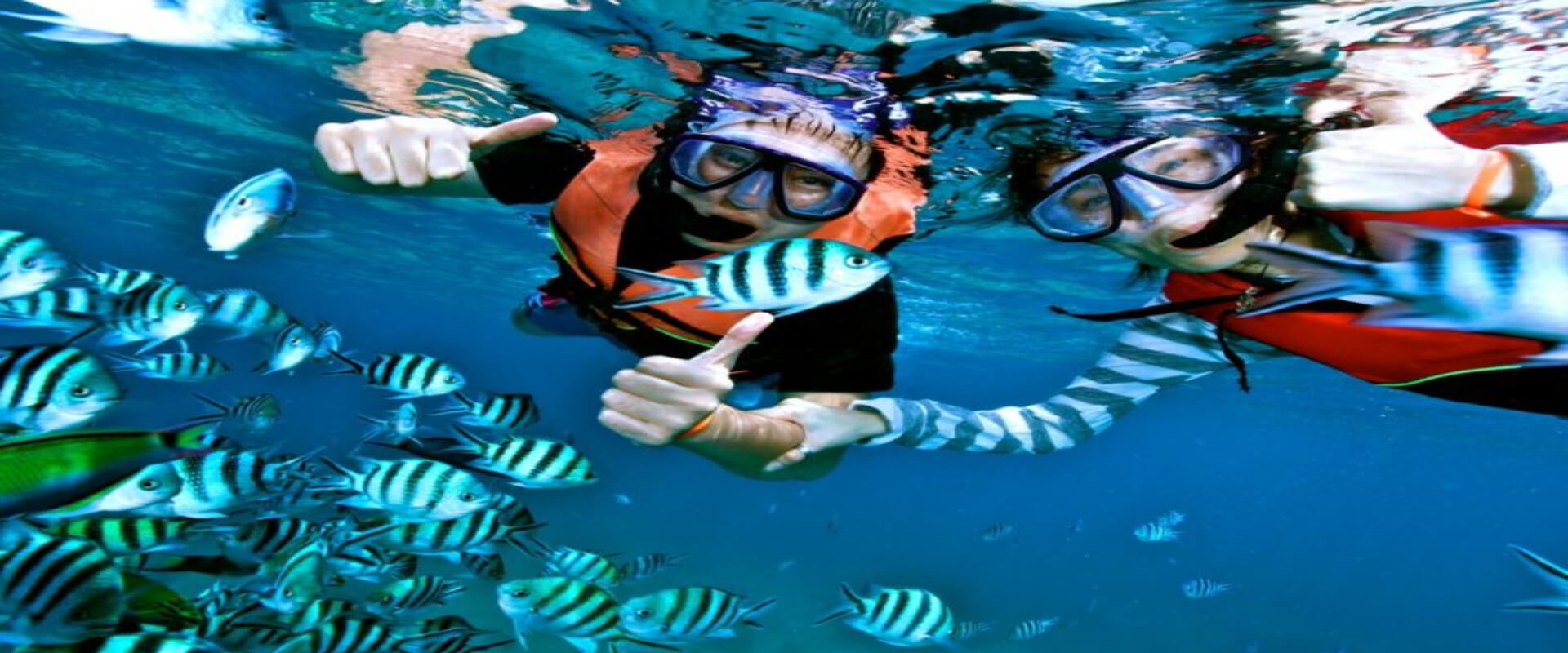 Tour de snorkel en la isla del Caño | Costa Rica Jade Tours