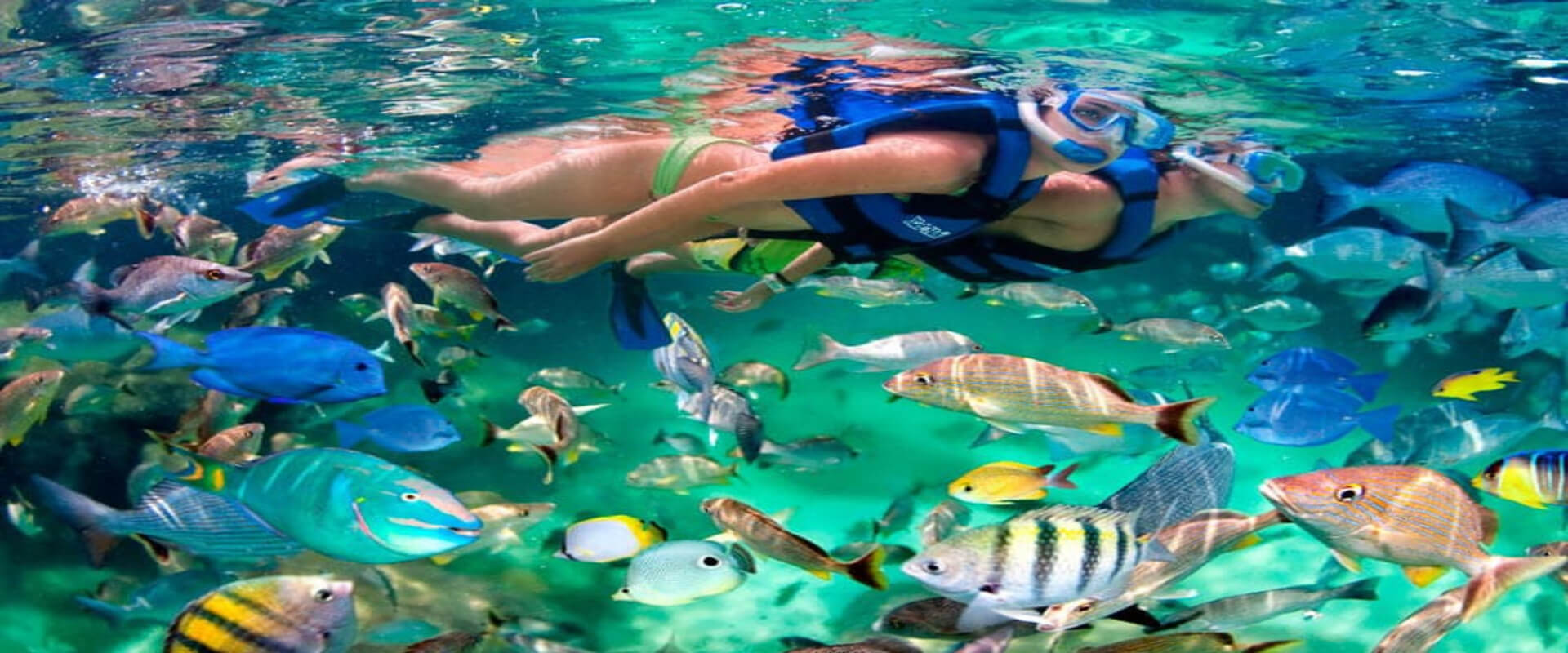 Tour de snorkel en la isla del Caño | Costa Rica Jade Tours