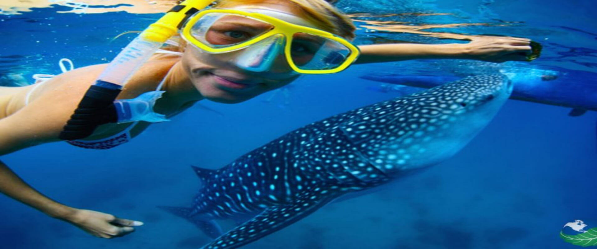 Caño Island Snorkeling Tour | Costa Rica Jade Tours