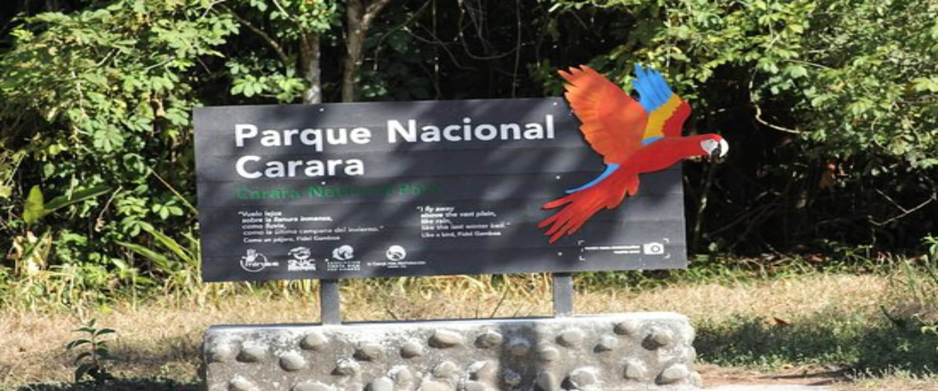 Carara National Park Tour | Costa Rica Jade Tours