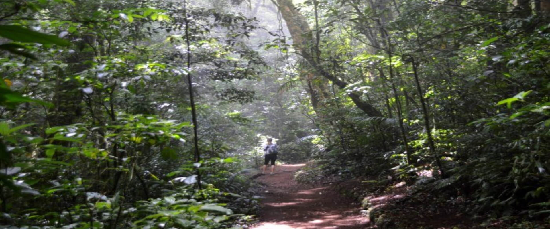 Parque Nacional Carara | Costa Rica Jade Tours