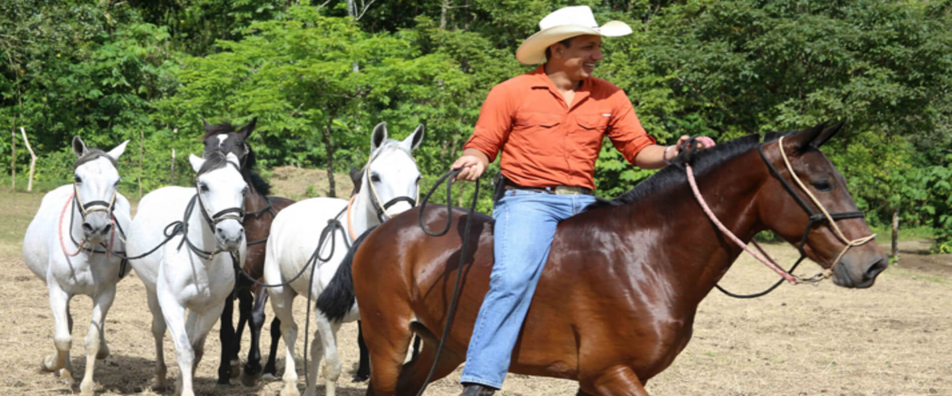 Recorrido combinado de Club Río multi-aventura | Costa Rica Jade Tours