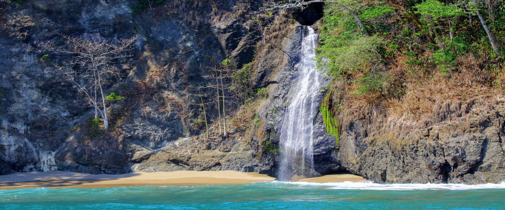 Day Trip Corcovado National Park San Pedrillo Station | Costa Rica Jade Tours