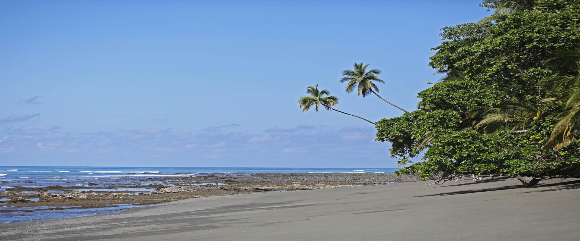 Excursión de un día a la estación Sirena del Parque Corcovado en Bahía Drake | Costa Rica Jade Tours