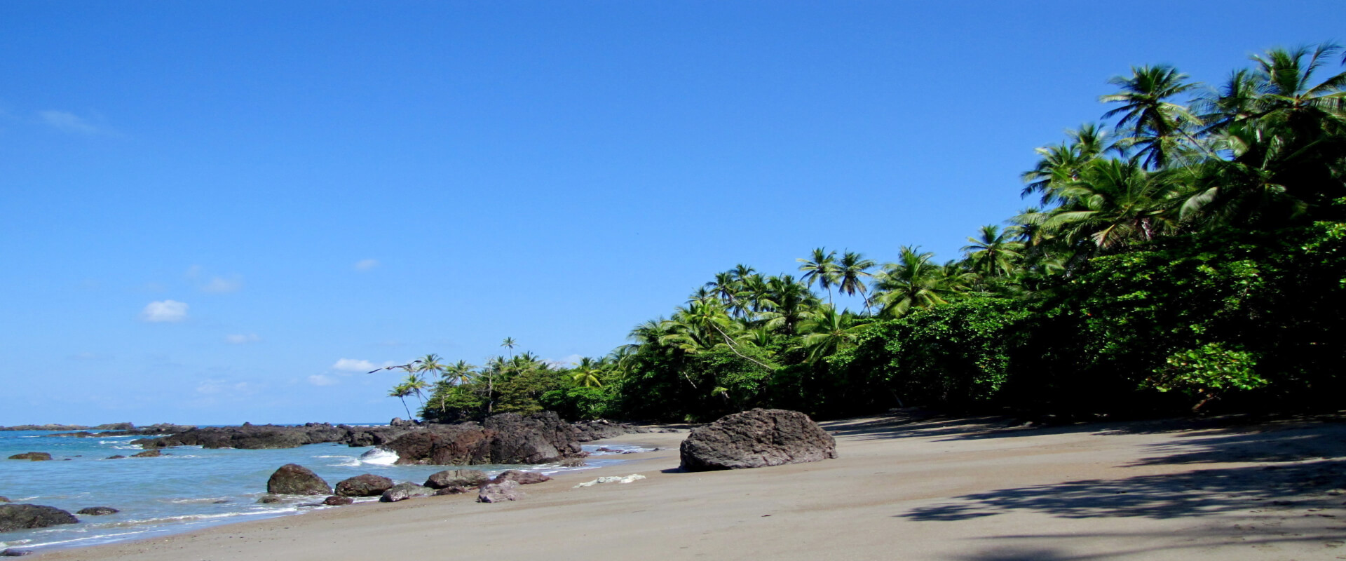 Excursión de un día a la estación Sirena del Parque Corcovado en Bahía Drake | Costa Rica Jade Tours