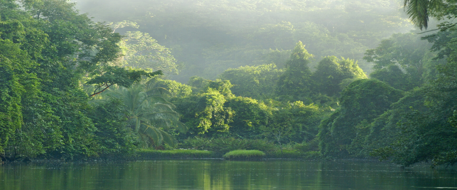 Day Trip Corcovado National Park Sirena Station | Costa Rica Jade Tours