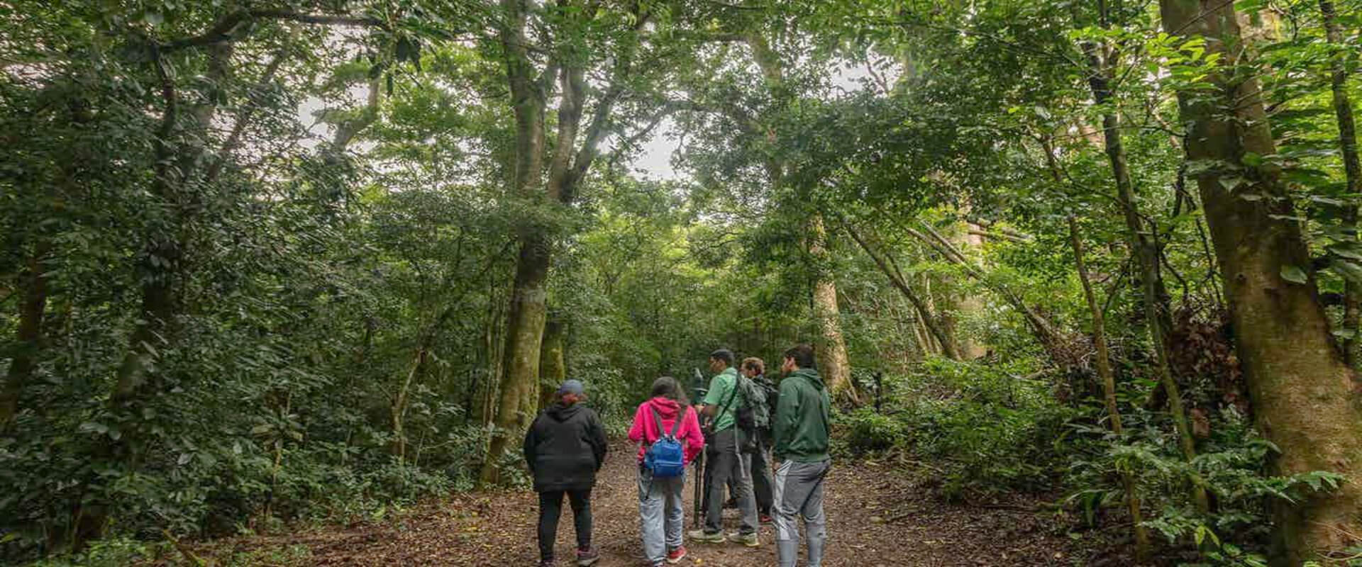 Curi-Cancha Nature Tour | Costa Rica Jade Tours