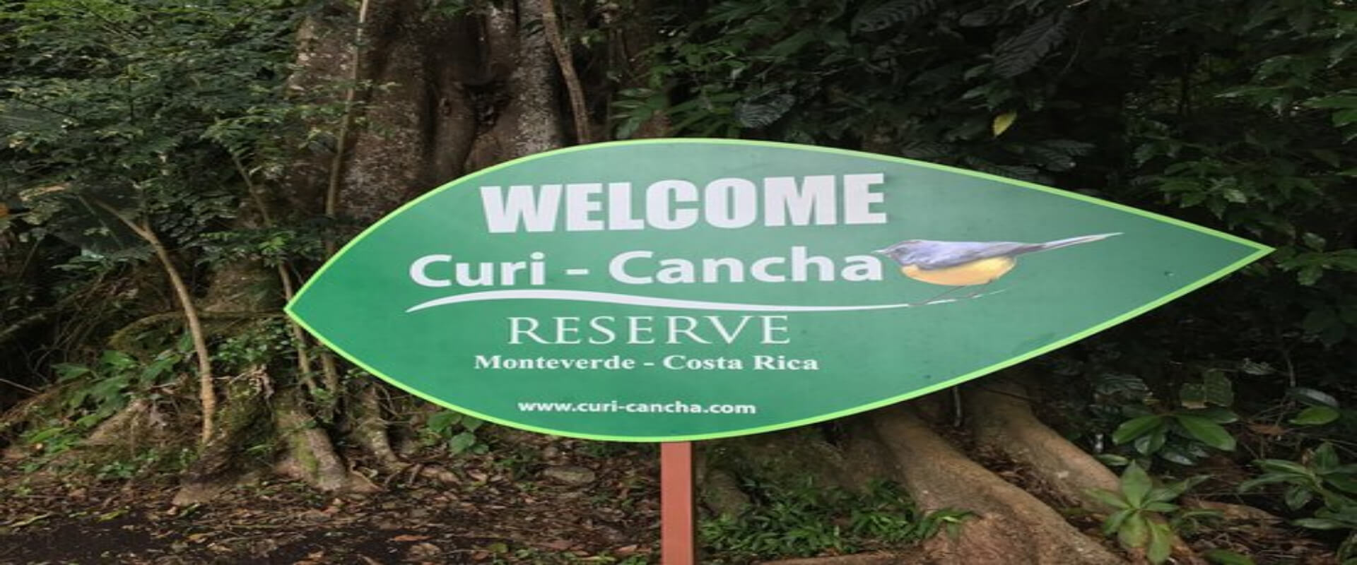 Curi-Cancha Nature Tour | Costa Rica Jade Tours