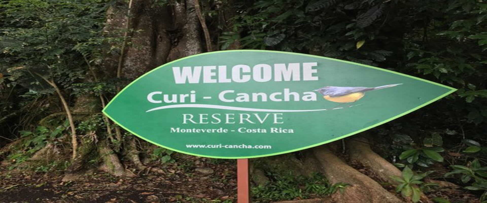 Reserva Natural Curi-Cancha | Costa Rica Jade Tours