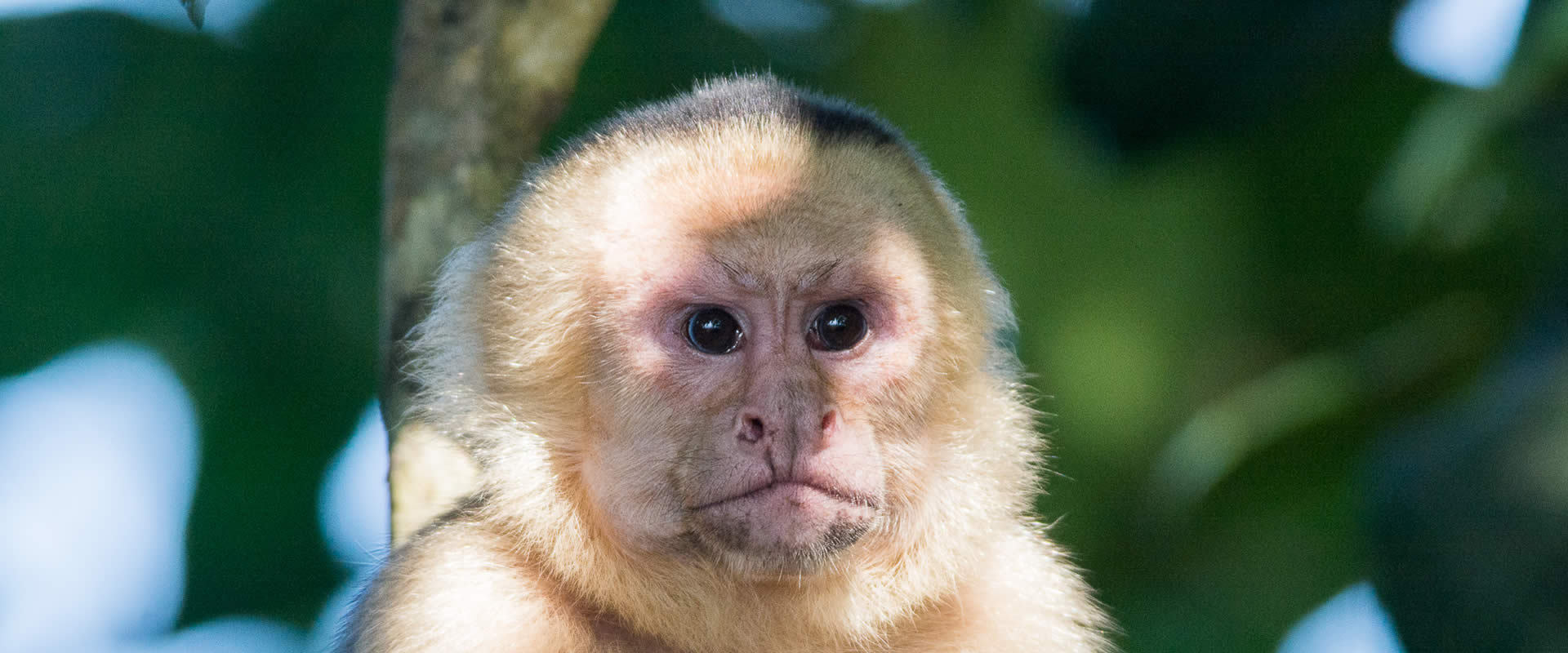 Manglares Isla Damas en bote | Costa Rica Jade Tours