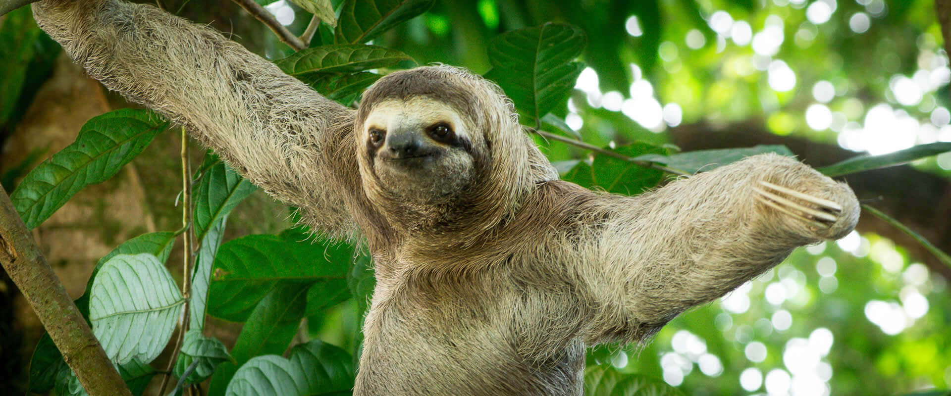 Manglares Isla Damas en bote | Costa Rica Jade Tours