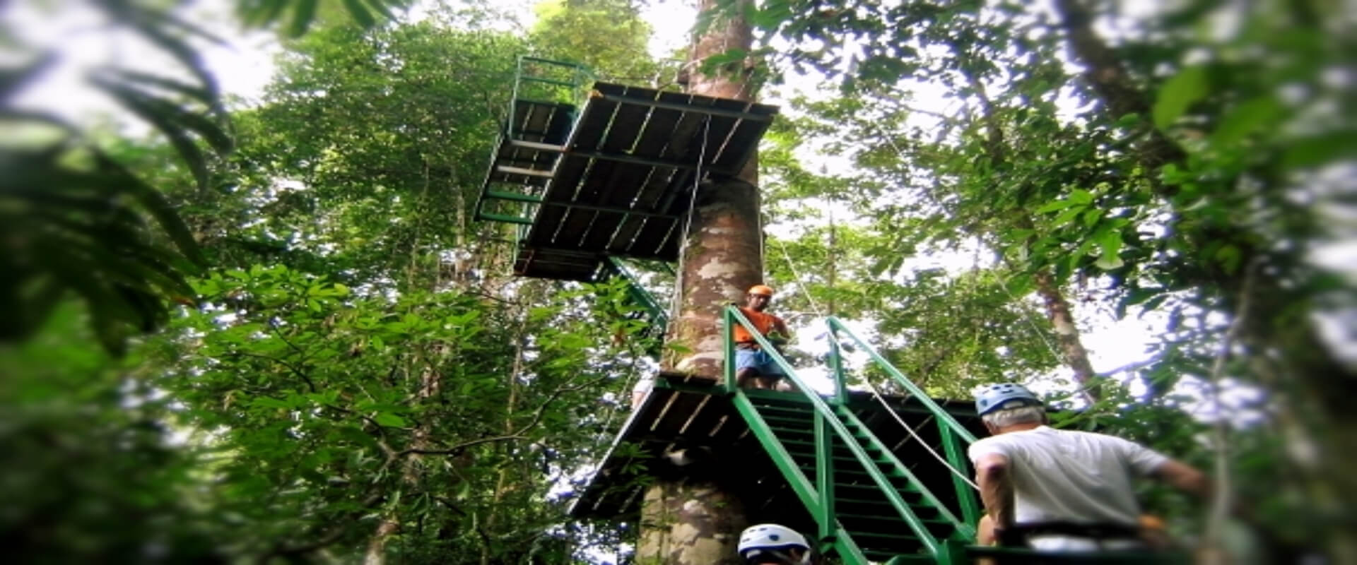 Canopy en Bahía Drake | Costa Rica Jade Tours