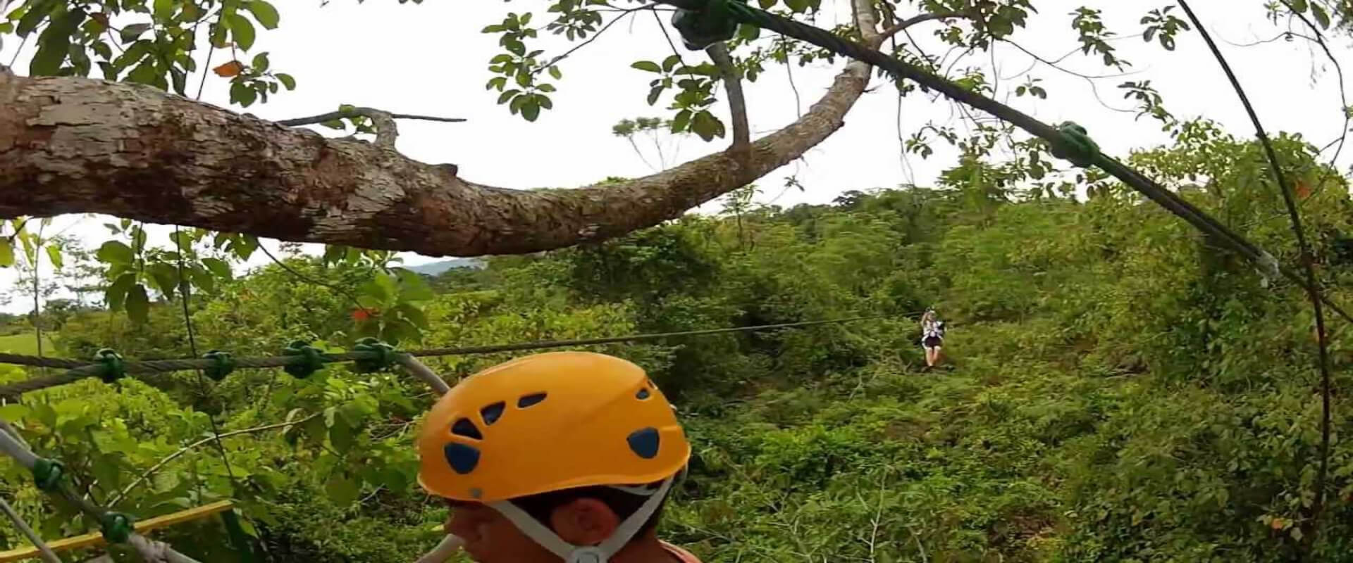 Canopy en Bahía Drake | Costa Rica Jade Tours