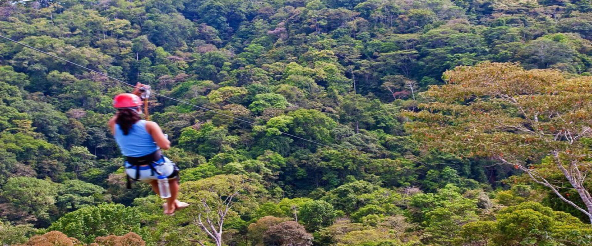 Canopy en Bahía Drake | Costa Rica Jade Tours