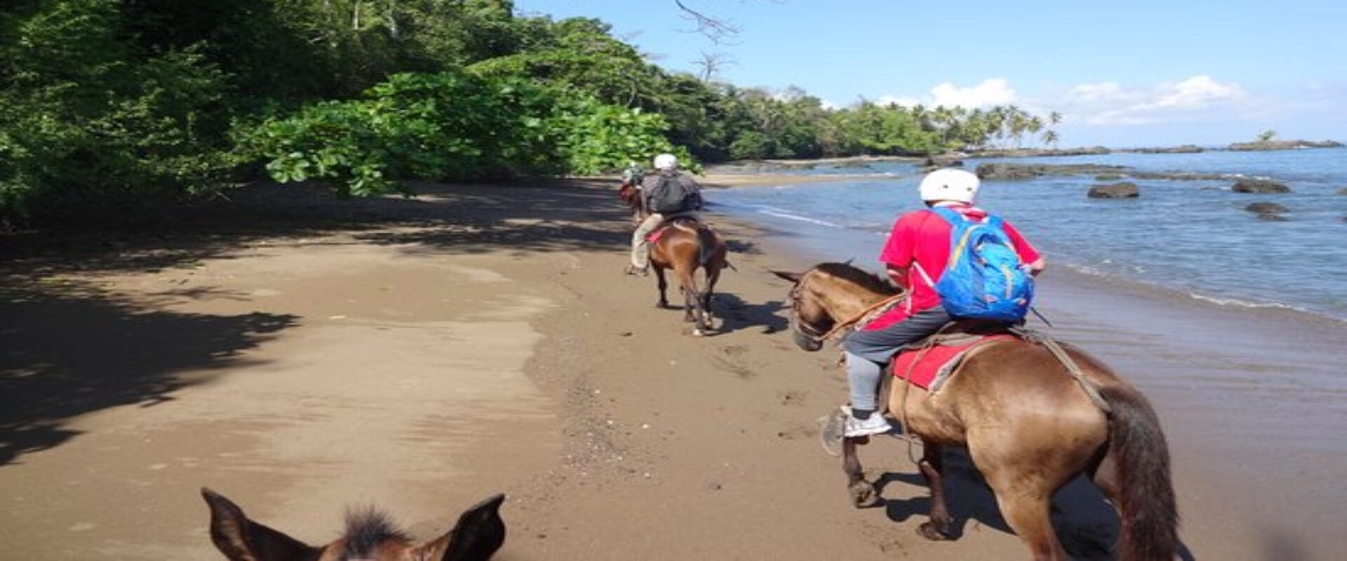 Cabalgata en Bahía Drake | Costa Rica Jade Tours