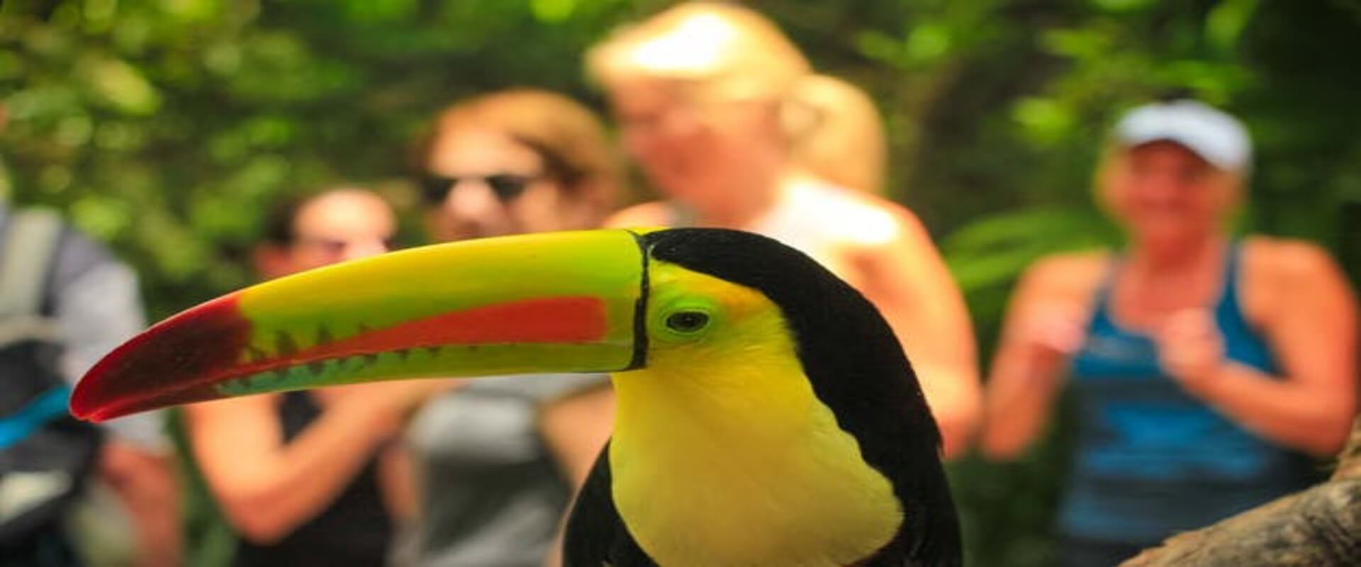 Diamante's Animal Sanctuary Adventure Pass | Costa Rica Jade Tours