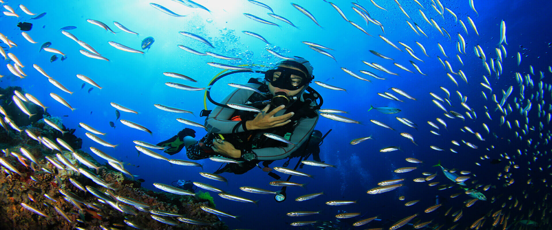 Buceo en Islas Catalina | Costa Rica Jade Tours