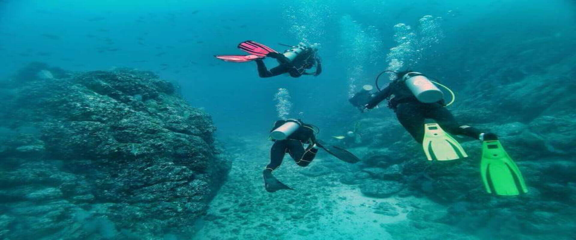 Catalina Islands Diving Tour | Costa Rica Jade Tours