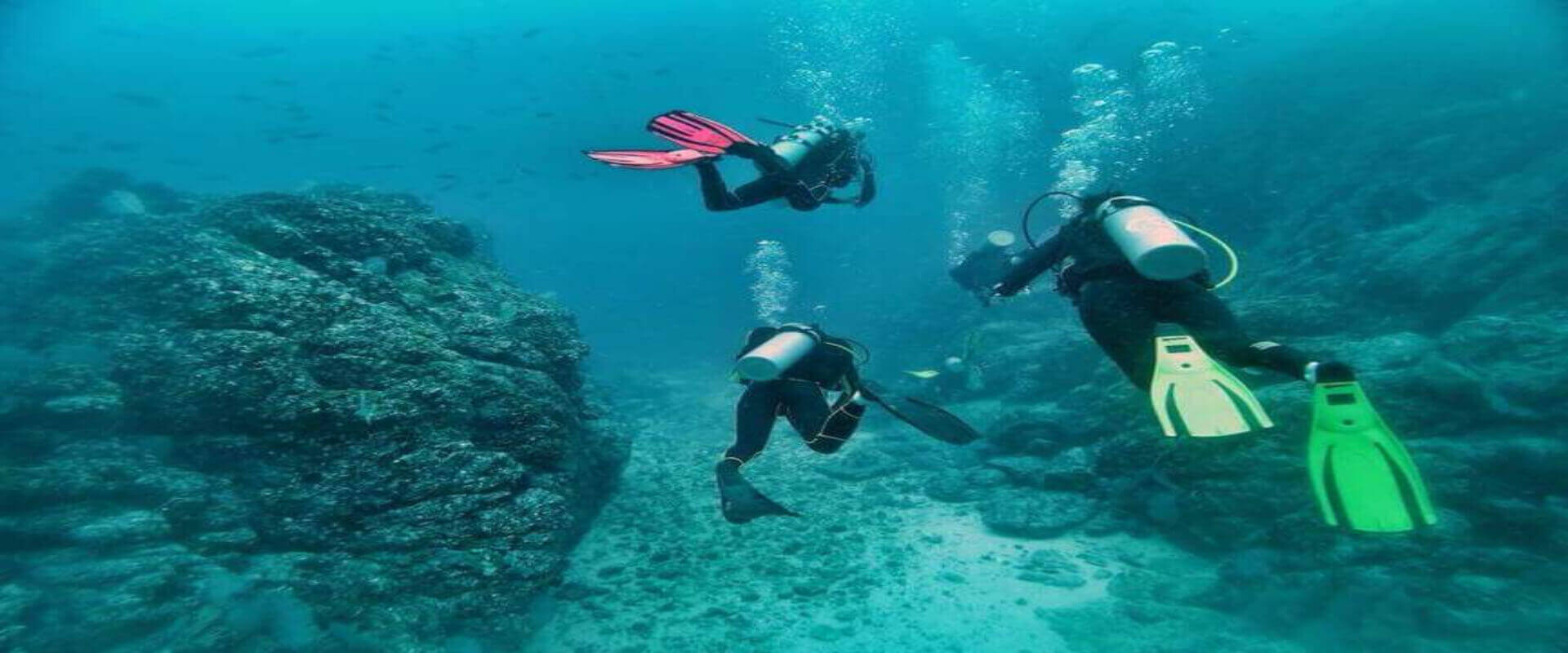 Catalina Islands Diving Tour | Costa Rica Jade Tours