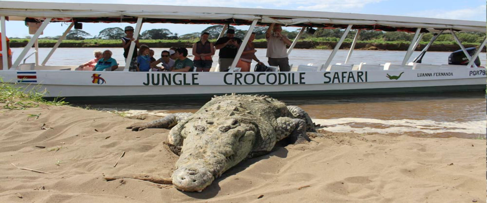 Safari de cocodrilos | Costa Rica Jade Tours