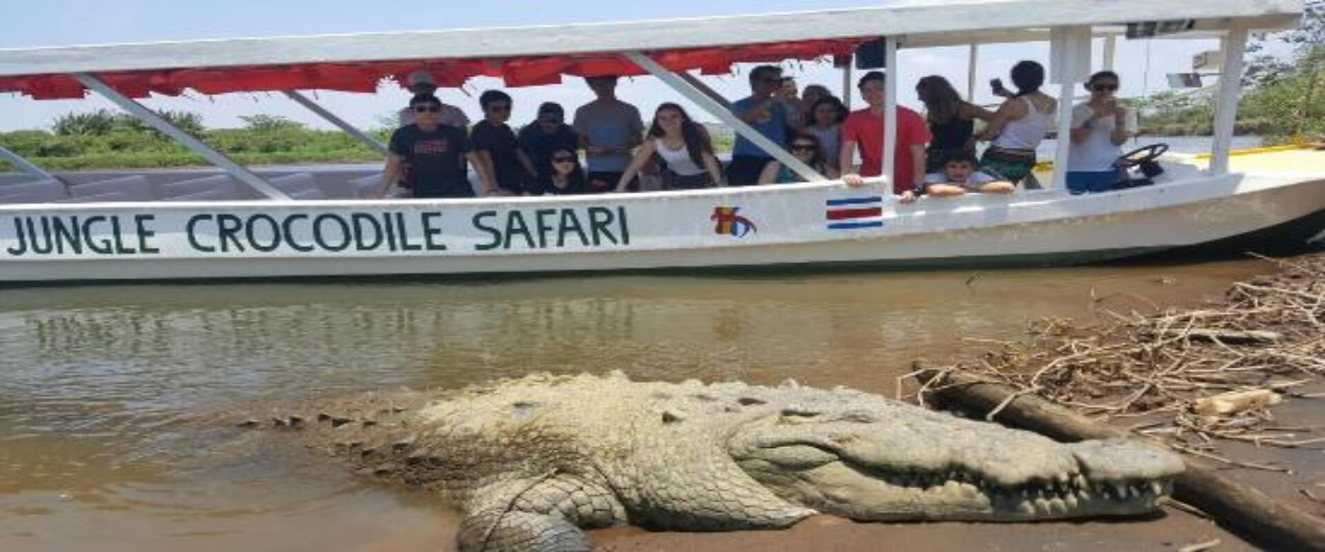 Safari de cocodrilos | Costa Rica Jade Tours