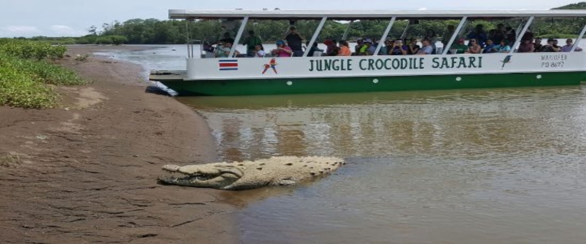 Jungle Corcodile Safari Tour | Costa Rica Jade Tours