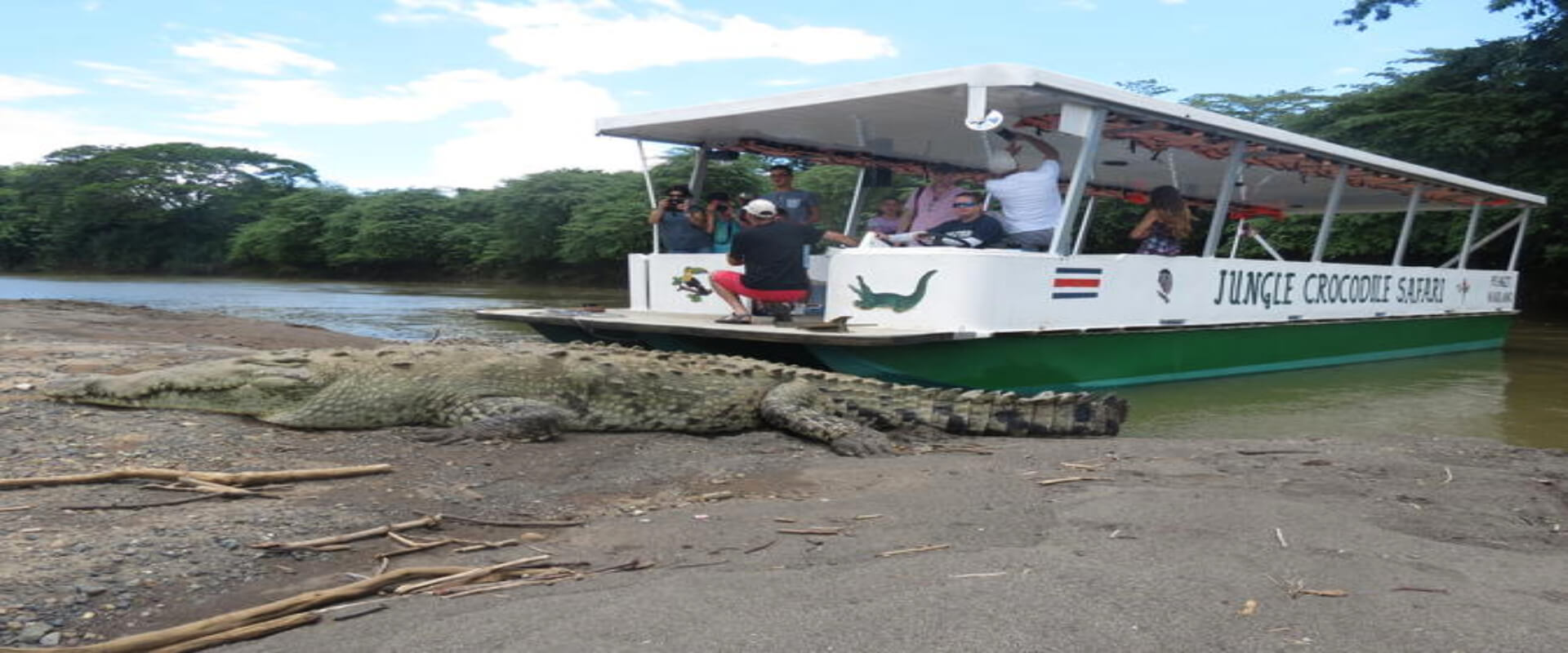 Safari de cocodrilos | Costa Rica Jade Tours