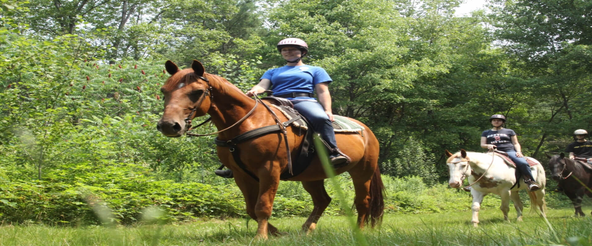 Jungle Spa Adventure Horseback Tour | Costa Rica Jade Tours