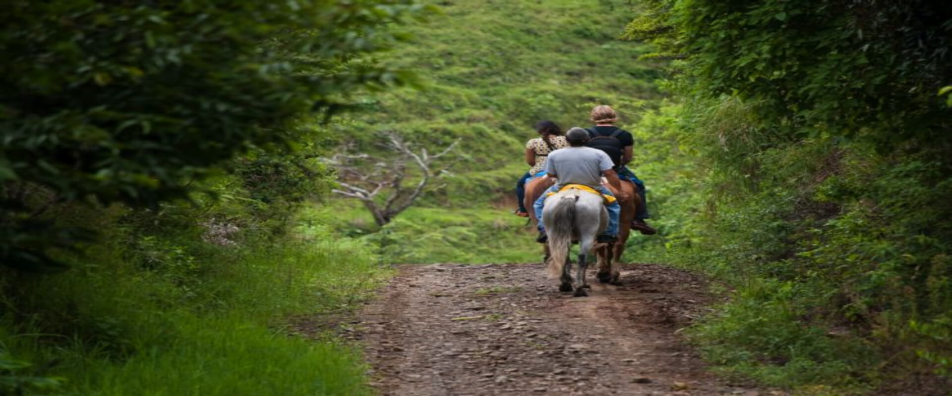 Cabalgata a la selva tropical | Costa Rica Jade Tours