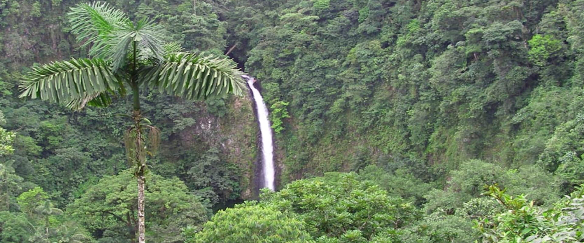 Caminata guiada a la catarata La Fortuna | Costa Rica Jade Tours