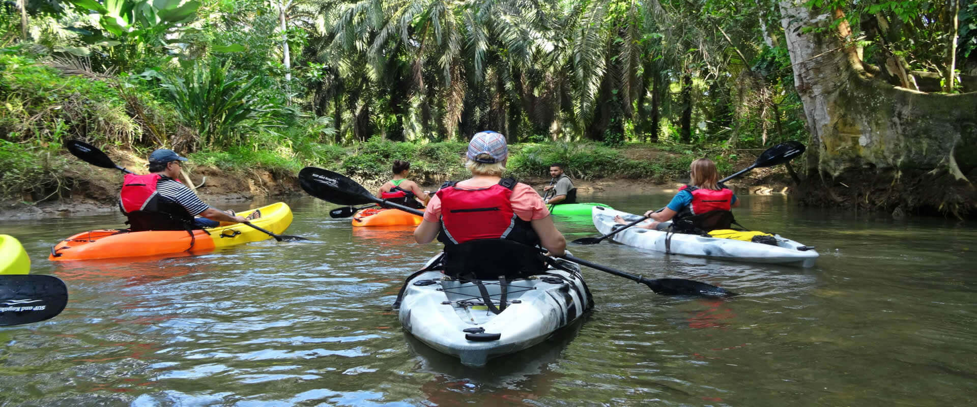 Mangrove Kayak Tour | Costa Rica Jade Tours