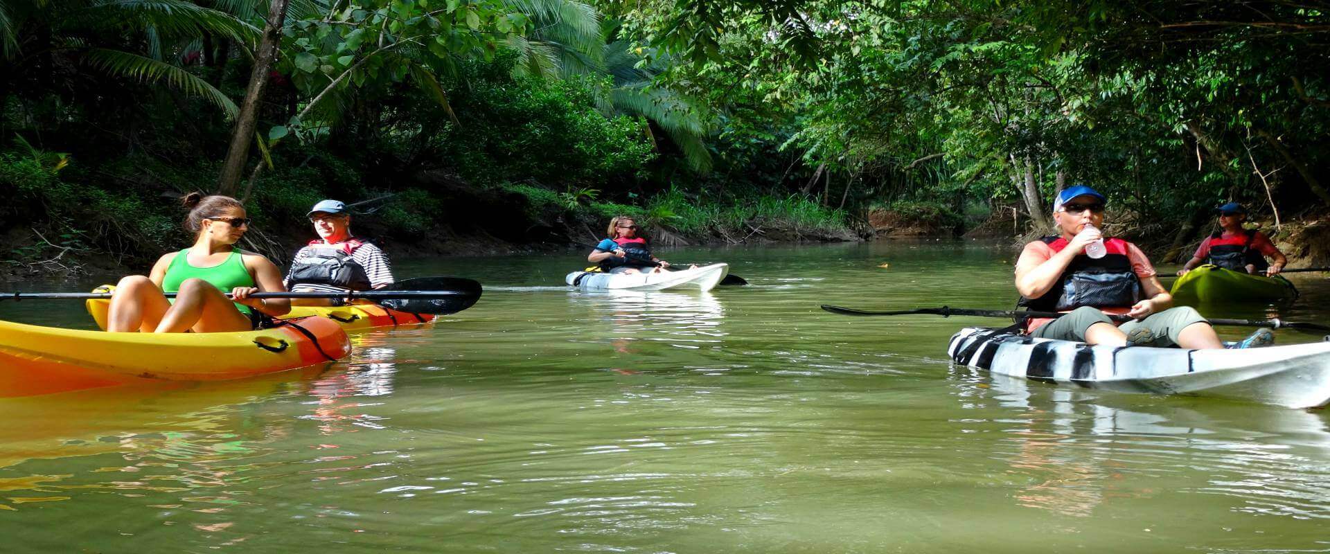 Manglares Isla Damas en kayak | Costa Rica Jade Tours