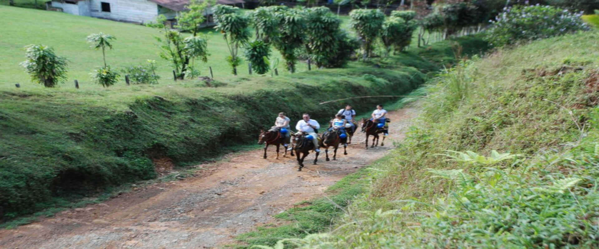 Cabalgata en bosque tropical | Costa Rica Jade Tours