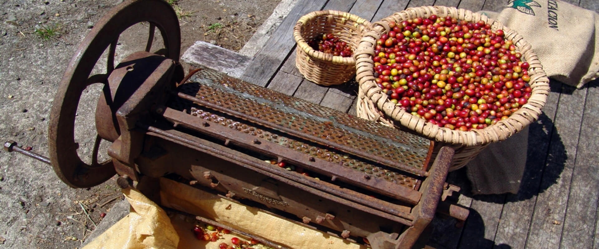 Don Juan Coffee Tour, Chocolate and Sugar Cane | Costa Rica Jade Tours