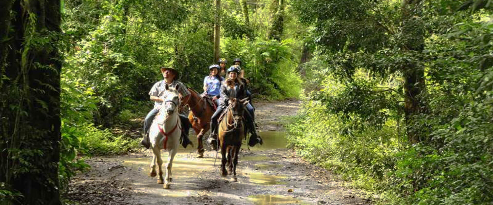 Monteverde Horseback Riding | Costa Rica Jade Tours