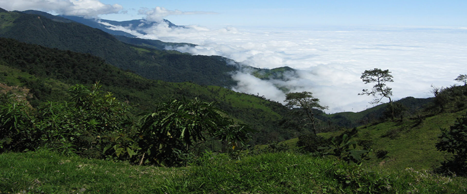 Monteverde Horseback Riding | Costa Rica Jade Tours