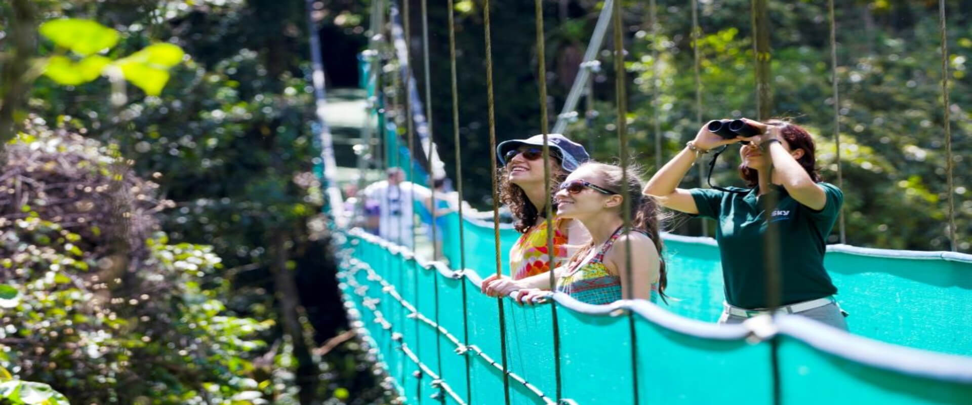 Sky Walk, Sky Tram y Sky Trek en Monteverd | Costa Rica Jade Tours