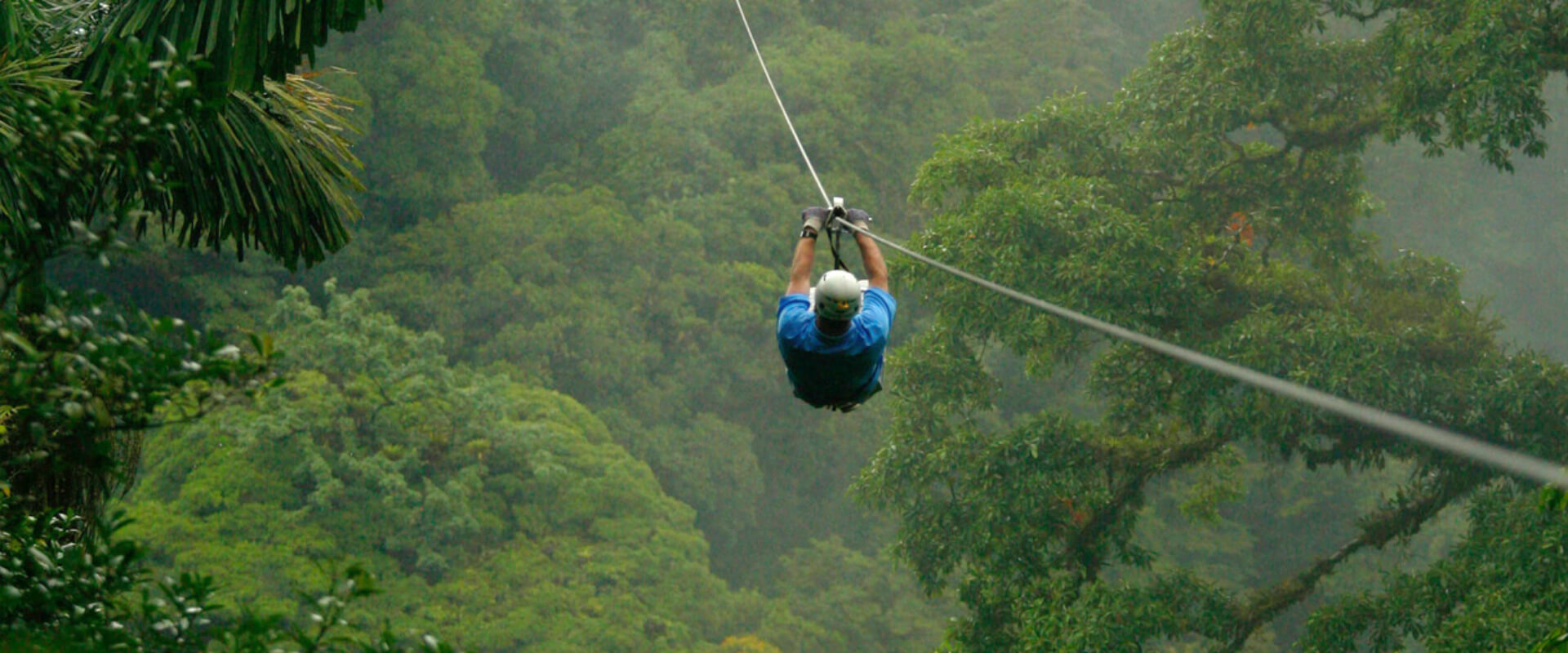 Sky Walk, Sky Tram y Sky Trek en Monteverd | Costa Rica Jade Tours