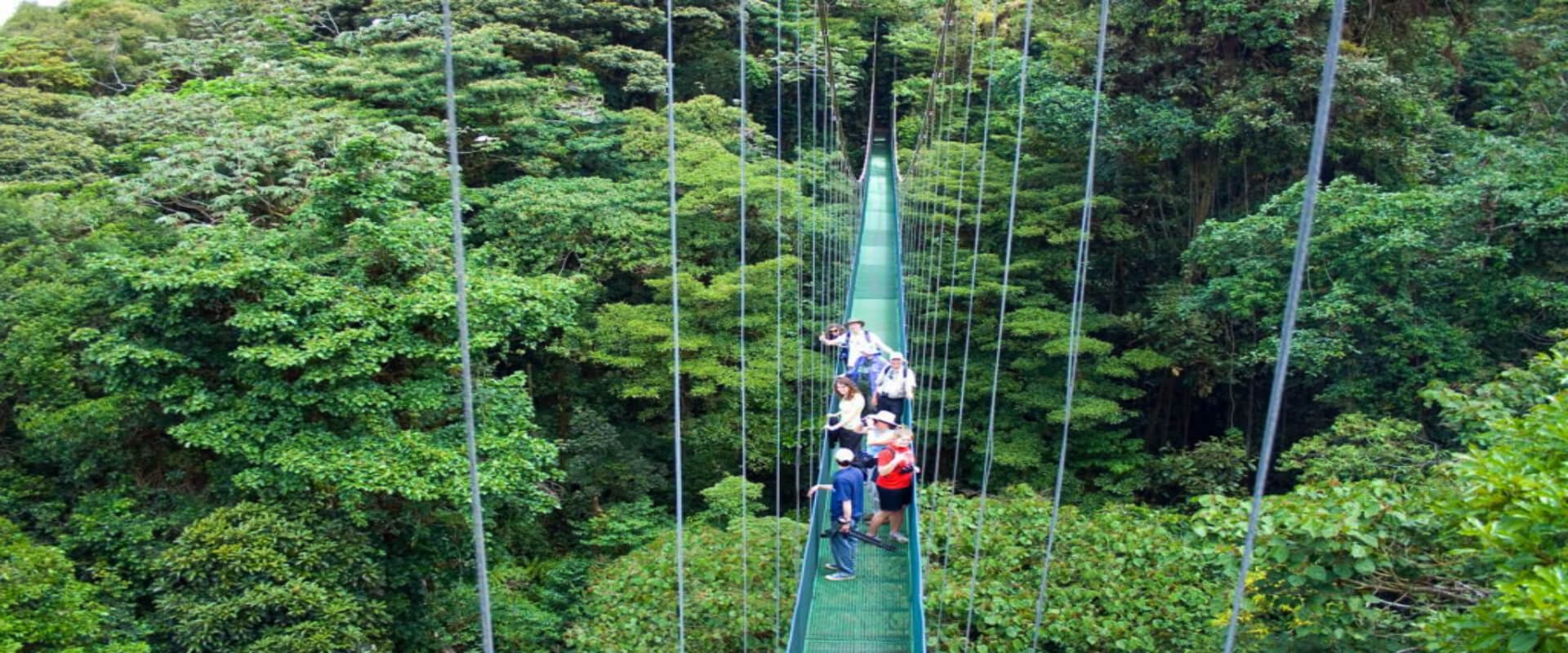 Sky Walk, Sky Tram y Sky Trek en Monteverd | Costa Rica Jade Tours