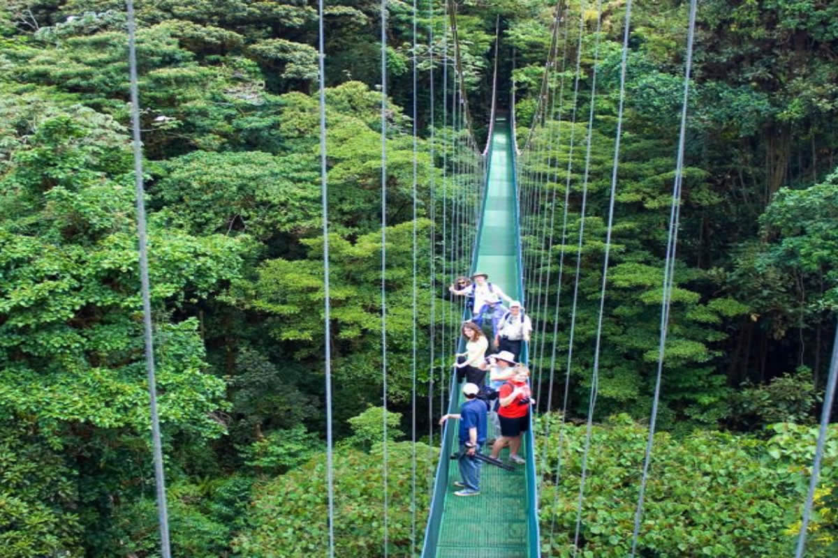 Tree Tram & Sky Walk Monteverde | Costa Rica Jade Tours
