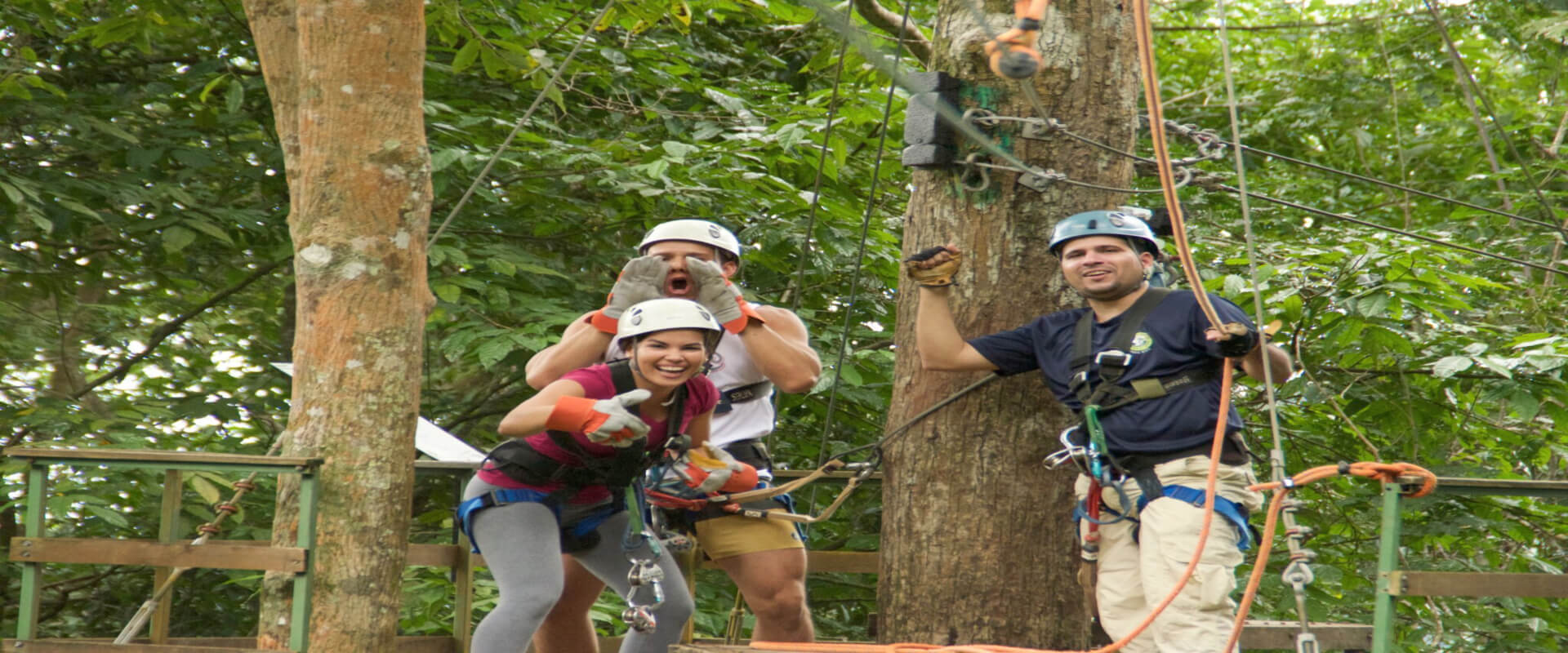 Teleférico en bosque lluvioso del Pacífico | Costa Rica Jade Tours