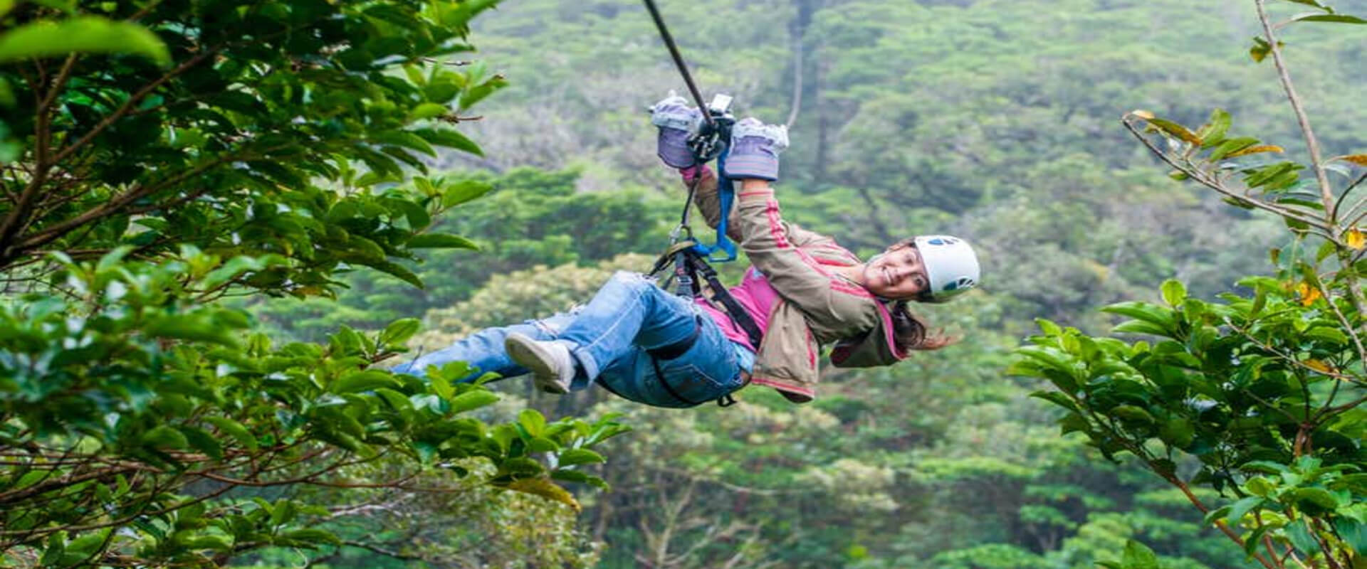 Teleférico en bosque lluvioso del Pacífico | Costa Rica Jade Tours