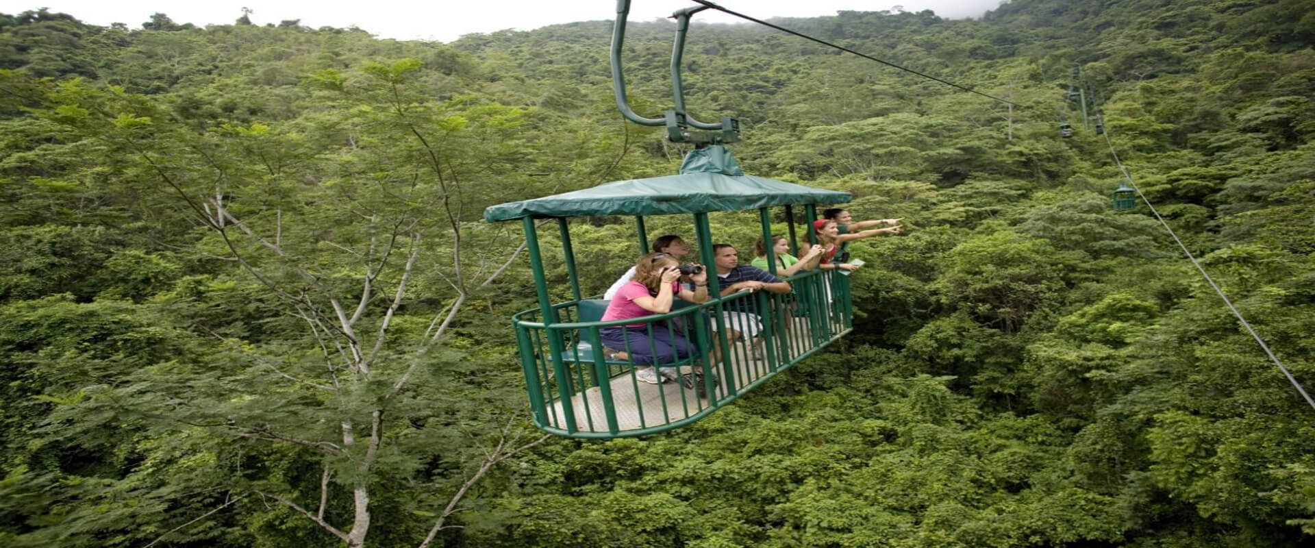 Teleférico en bosque lluvioso del Pacífico | Costa Rica Jade Tours